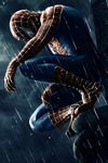 pic for Spider Man Red Blue and Black 